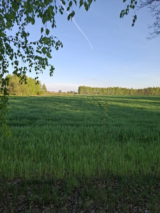 Dwie działki na sprzedaż w Nowostawach Dolnych