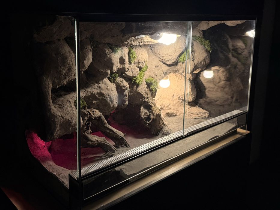 Customowe ścianki do terrarium na zamówienie