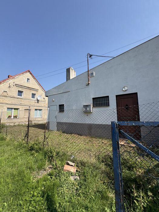 Zdjęcie 3