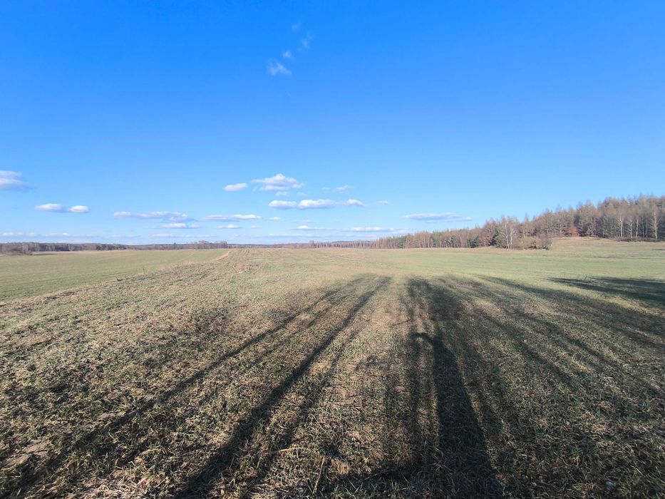 Wydzierżawię grunt rolny 6,5 ha Kalisz Pomorski