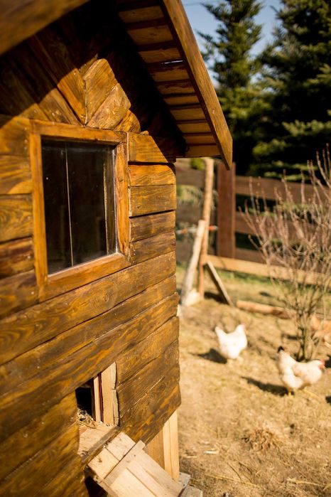 Duży kurnik XXXL dla 20-28 kur kaczek deska sosna, jodła Ocieplony!