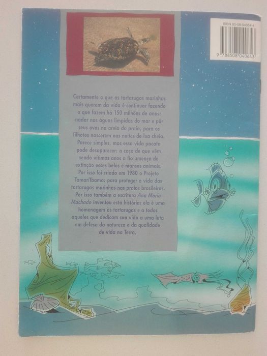 Livro: Na praia e no luar tartaruga quer o mar-aborda defesa natureza