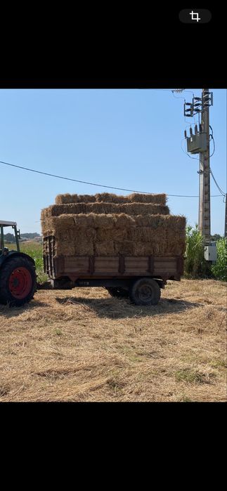 Vendo fardos de palha 2025