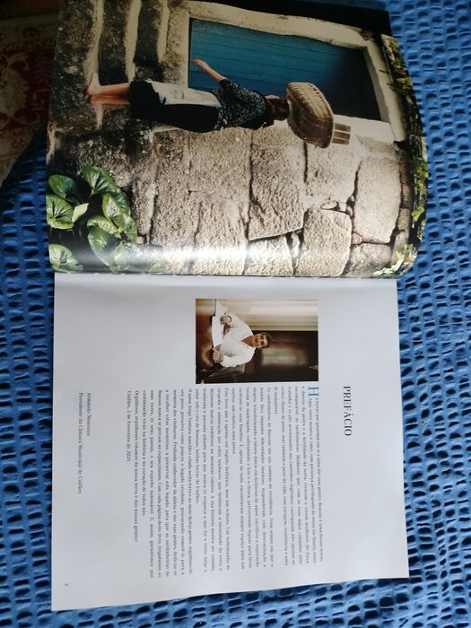 Livro "As Sardinheiras de Bossas"