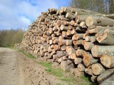 SUCHE &SUROWE Drewno opałowe