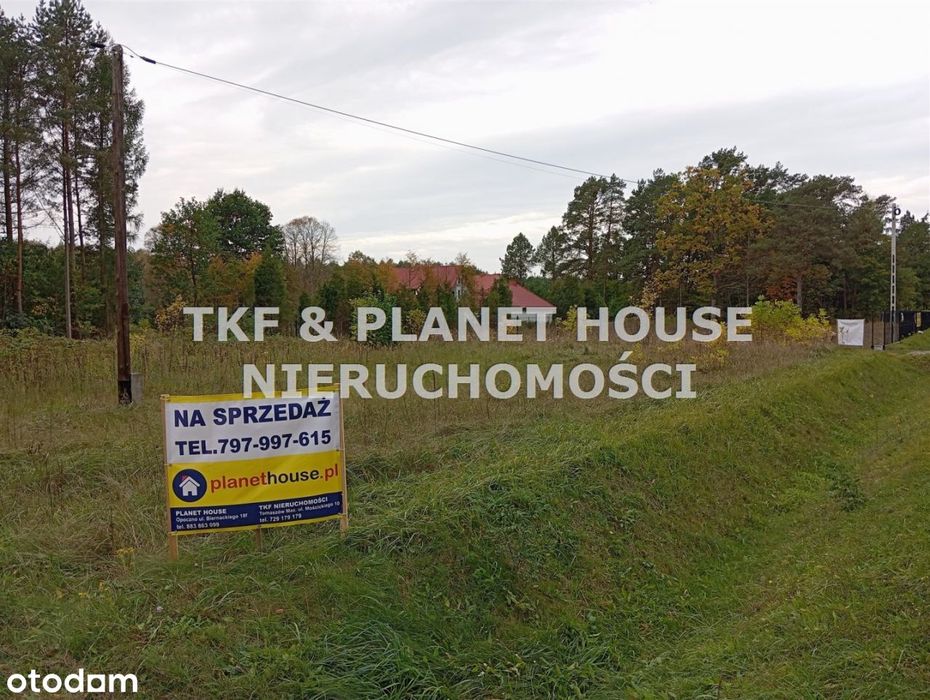 Działka 1431m2 w msc. Teofilów nieopodal Pilicy