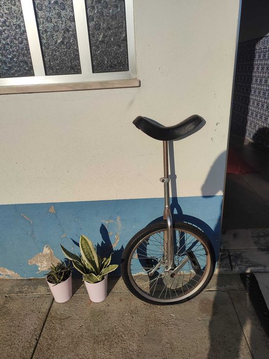 Bicicleta de uma roda muito divertido andar nela.