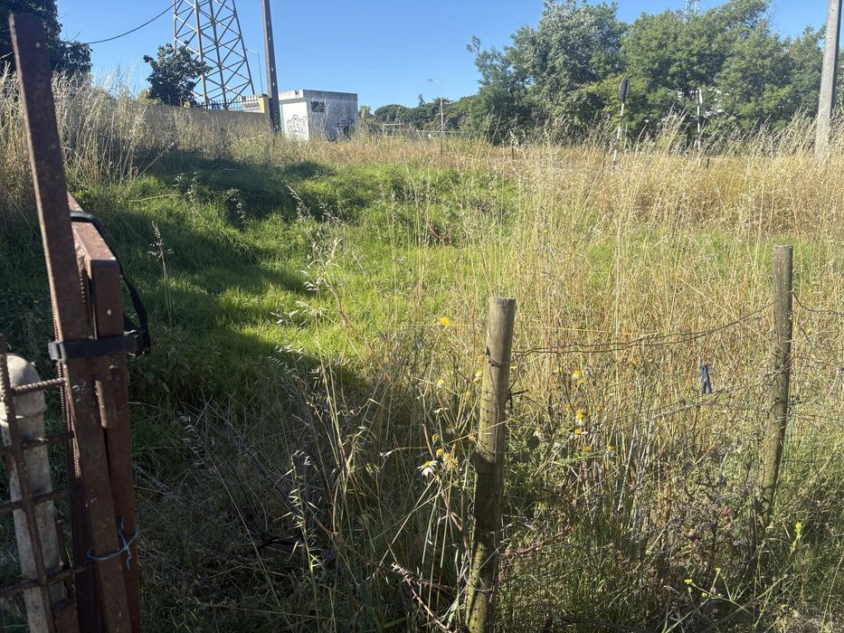 Eu faço limpeza de terrenos, quintais, garagens etc. zona da sobreda e arredores