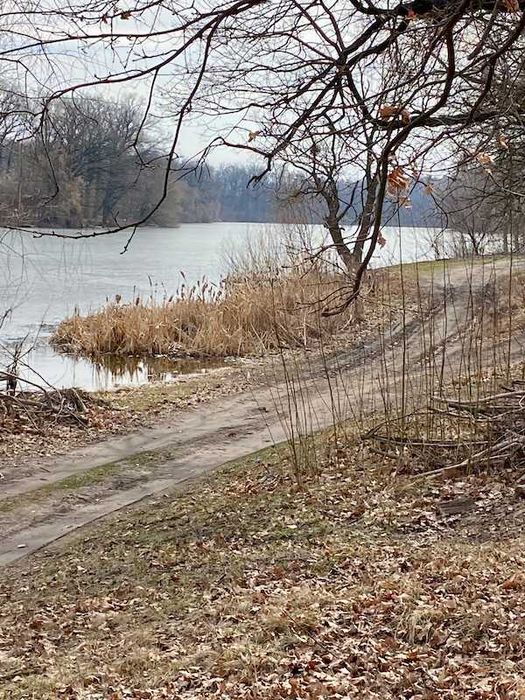 Продам земельну ділянку Шаровка Богодухівський район (169139)