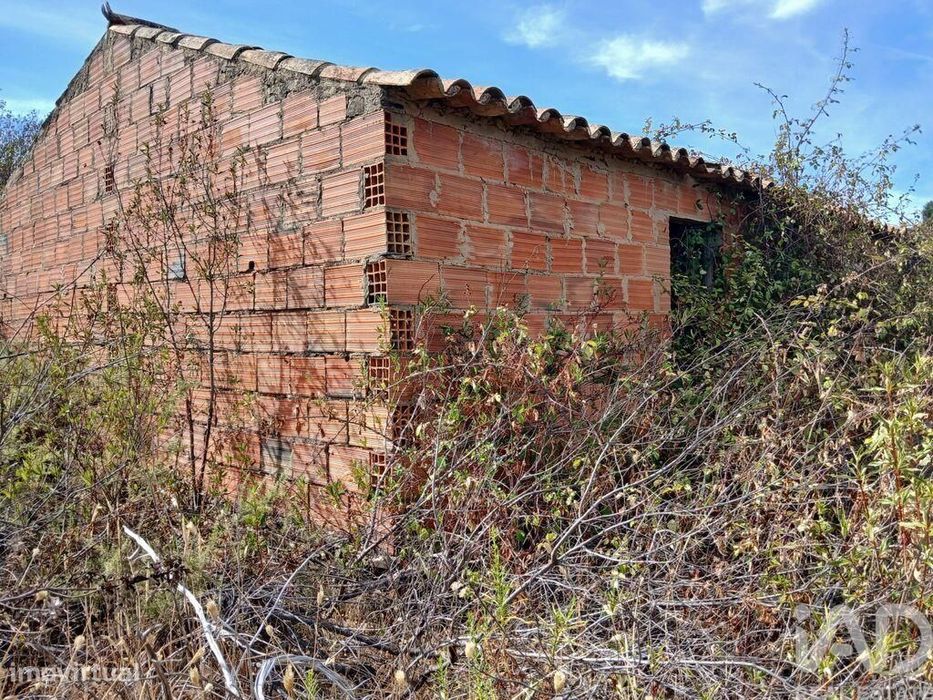 Quinta rural T1 em Sabóia de 80 m2