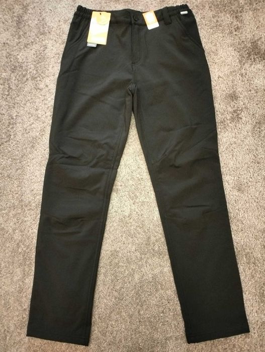 Чоловічі зимові штани Regatta Fenton Softshell