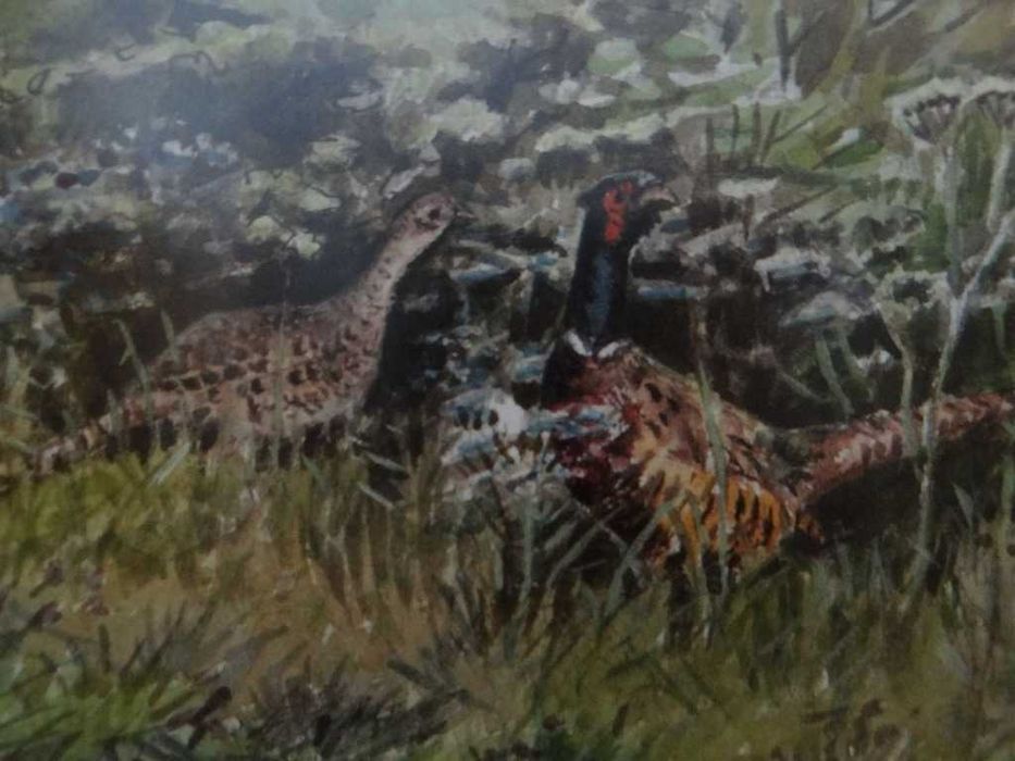 Obraz ,,Bażanty '' litografia barwna 1977 r