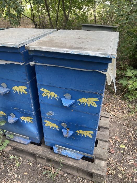 Продам пасеку улья прицеп