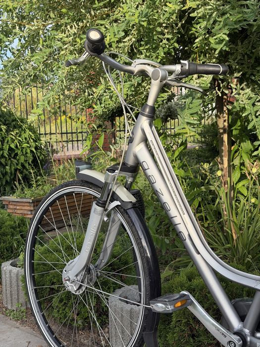 Damka Gazelle Paris Plus H57 Holenderski