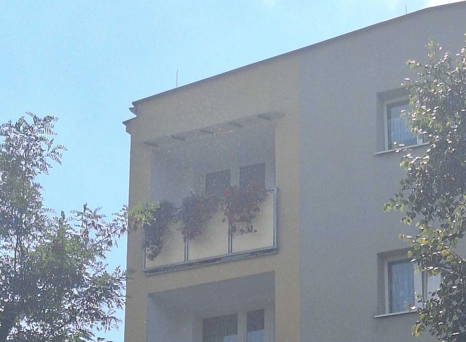 Mieszkanie na sprzedaż, 3 pokoje, 55 m², Ruda Śląska