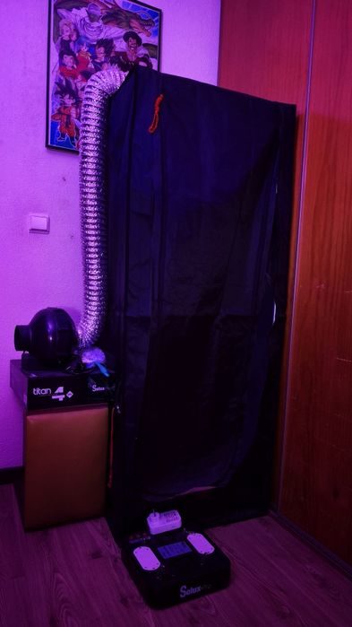 Kit Cultivo Indoor
