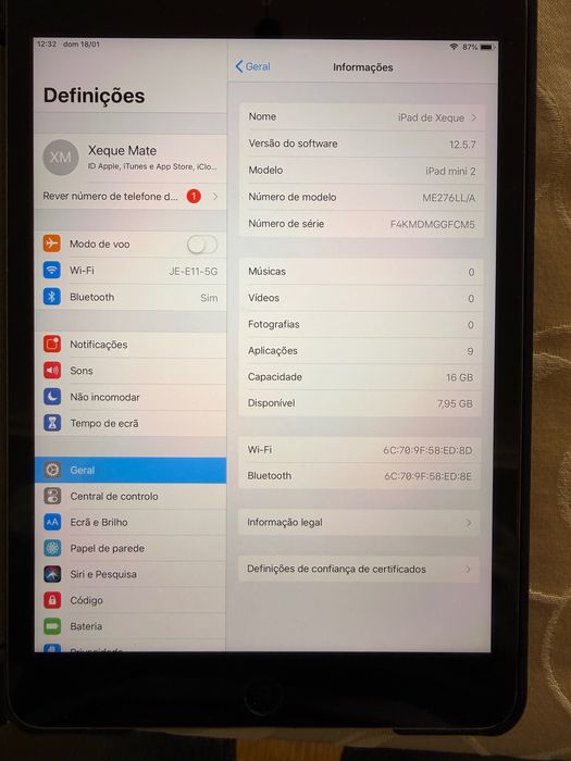 iPad mini 2 – 16GB – Wi-Fi – Com capa – Funciona perfeitamente