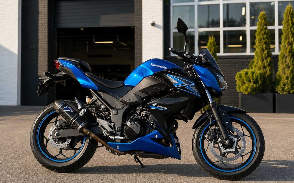 Kawasaki Z250, 2015 рік, ABS