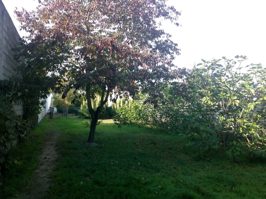 QUINTA Situada a 1800 M  da CIDADE de PONTE de SOR