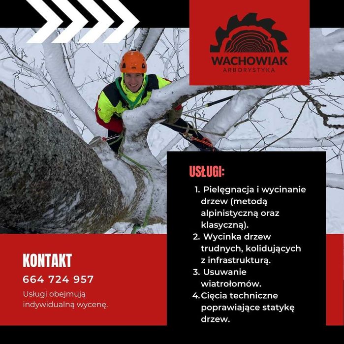 Wycinka, pielęgnacji drzew i żywopłotów