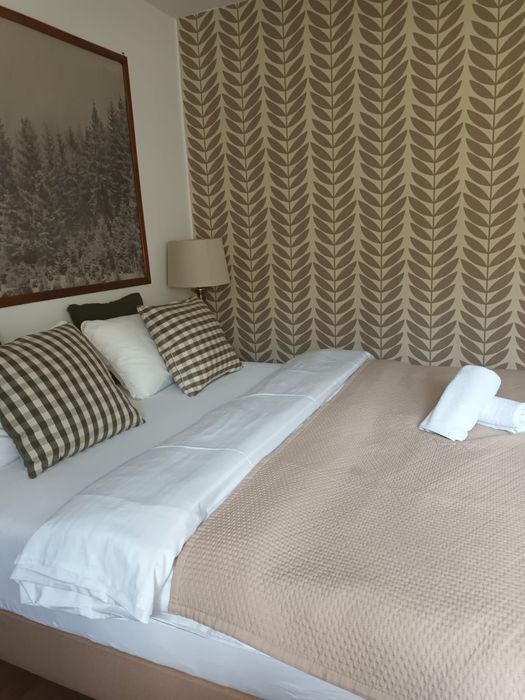 Pokoje apartament Krościenko Pieniny blisko szlaków