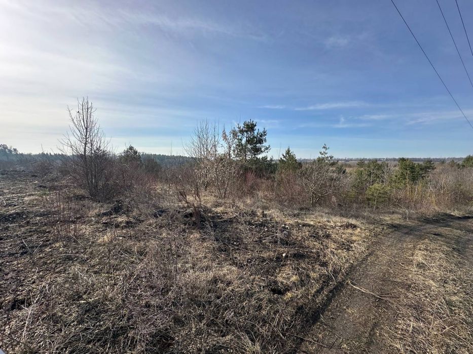 Продаж земельноі Ділянки 30 соток Епіцентр Ружична