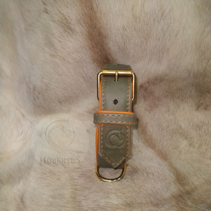 Obroża skórzana dla psa