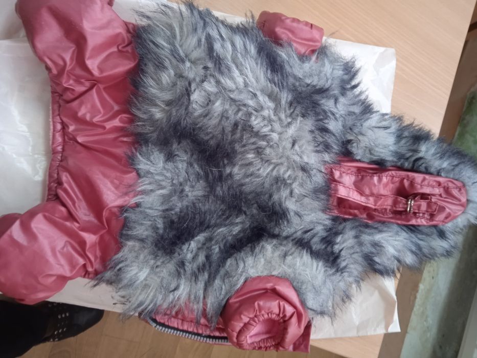 Продам зимний комбинезон для чиа-хуа