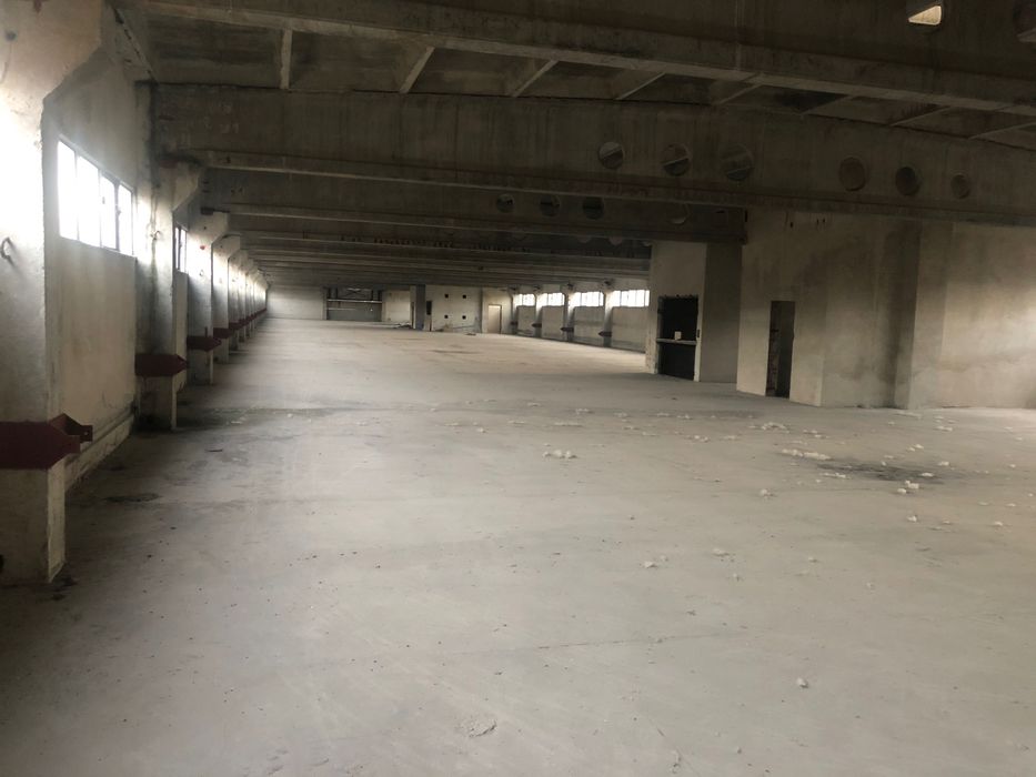 Hala Produkcyjna-Magazynowa-Usługowa