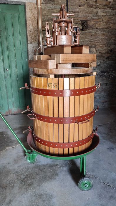 Equipamento Vinificação
