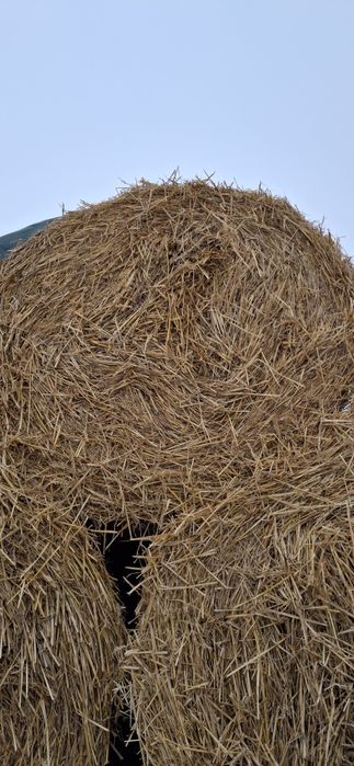 Słoma pszenna 120/120