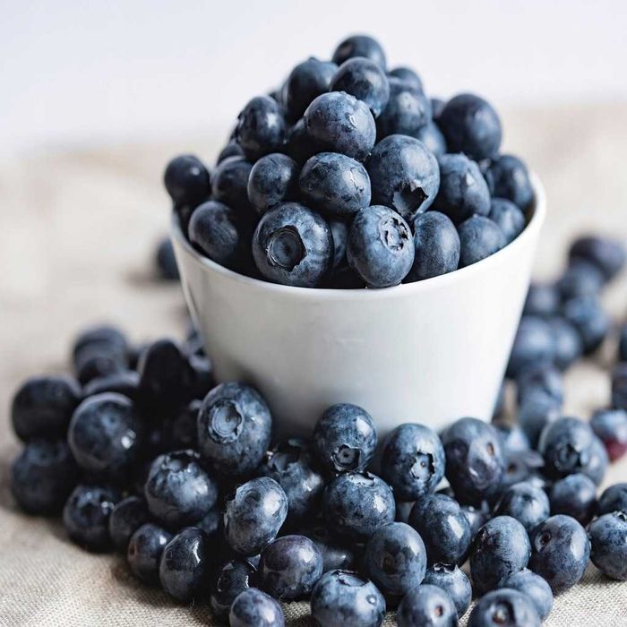 Sadzonki Borówki Amerykańskiej 4 let. - Gigant owoc -Wiele Odmian