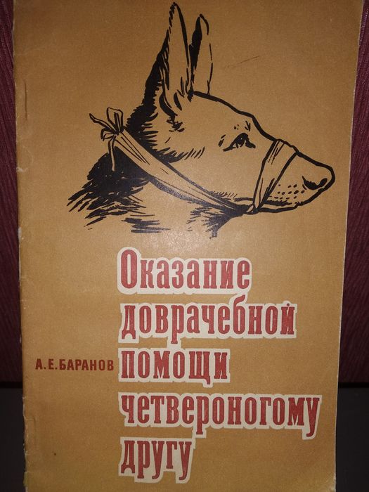 Оказание доврачебной помощи четвероногому другу