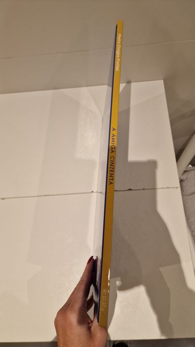 Livro "A amiga cinzenta "