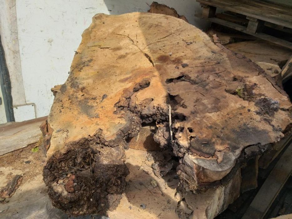 Rodelas ou fatias de madeira várias dimensões