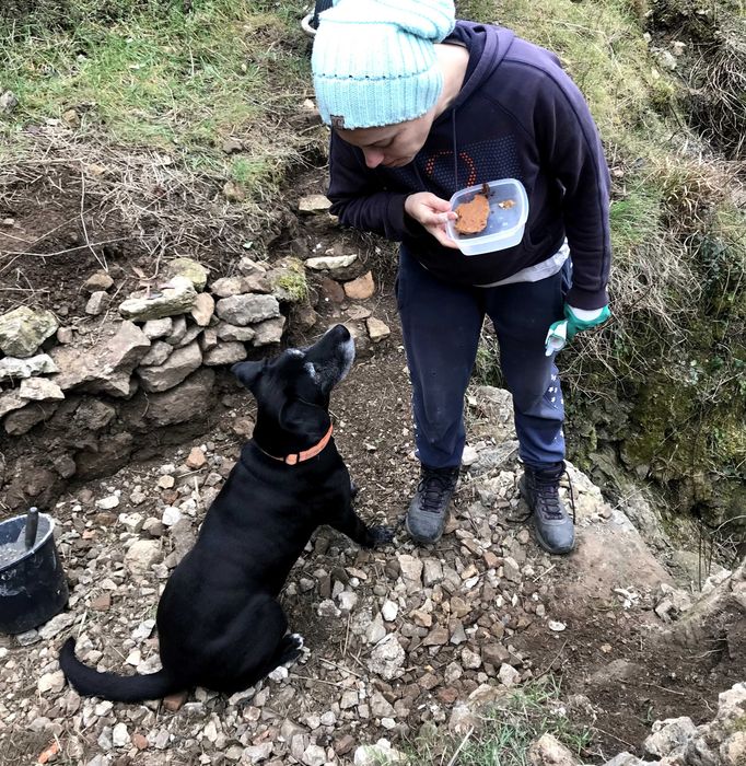 Petsitter na Bendada