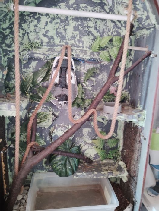 Oddam Terrarium za darmo