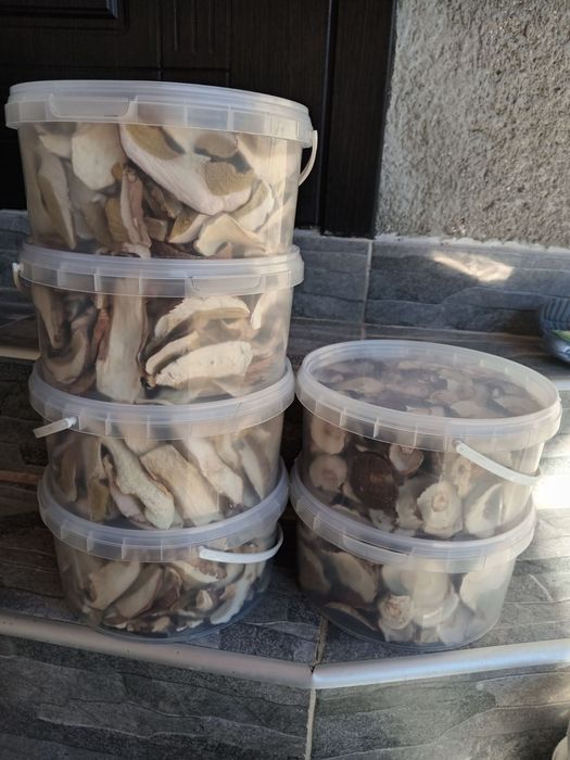 Продам гриби білі сушені