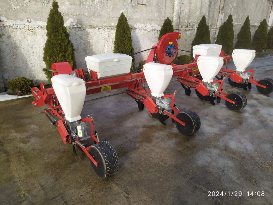 Сиповка кискасы неге ұқсайды?