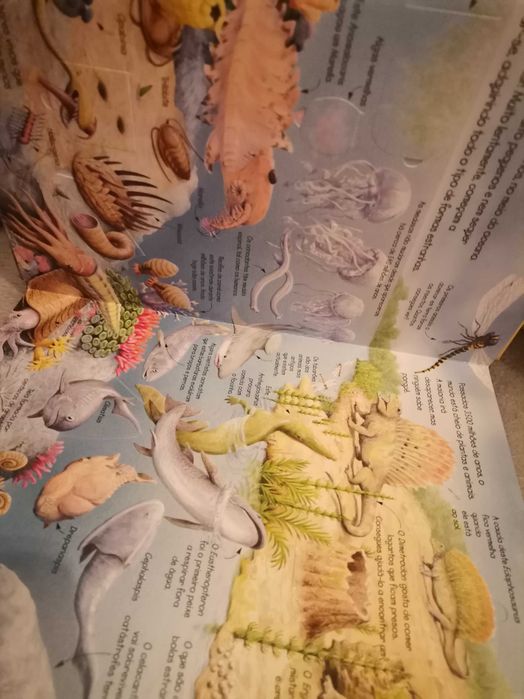 Espreita o Mundo dos Dinossauros