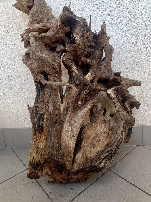 Duży korzeń do akwarium lub terrarium