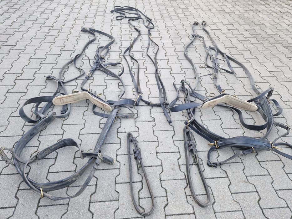 Uprząż kompletna dla pary koni do bryczki