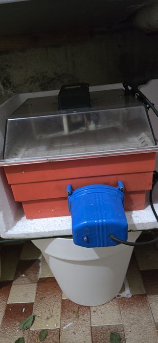 Chocadeira automática