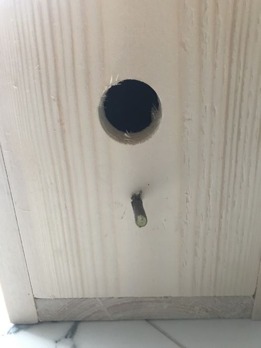 Budka lęgowa dla ptaków