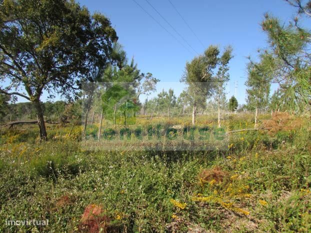Terreno Para Construção Junto a Coimbra