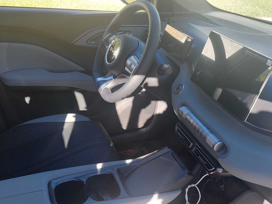 BYD Dolphin Surf Active