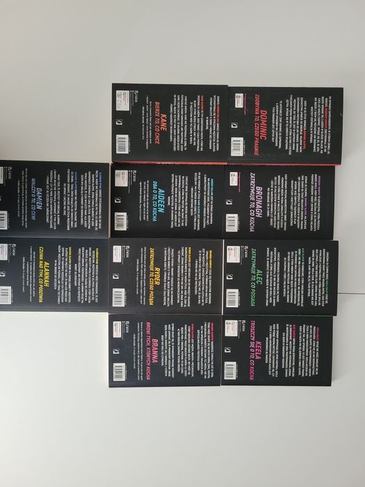 Sprzedam serię książek L. A. Casey Bracia Slater