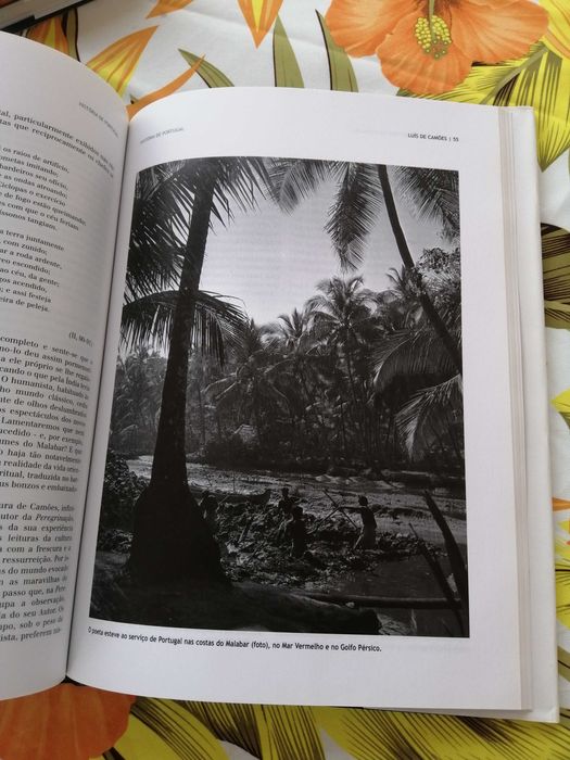 A Biography of Luís de Camões, by Hernâni Cidade64737771759106122