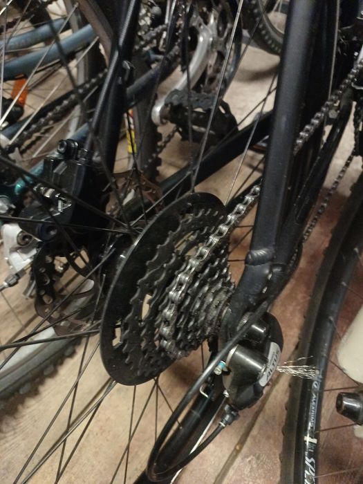 Rower Specialized