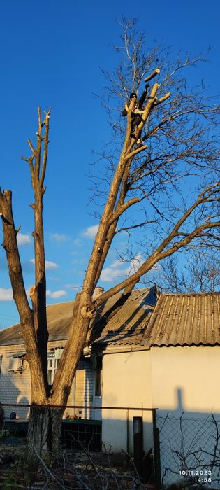 Спил деревьев. Покос травы.